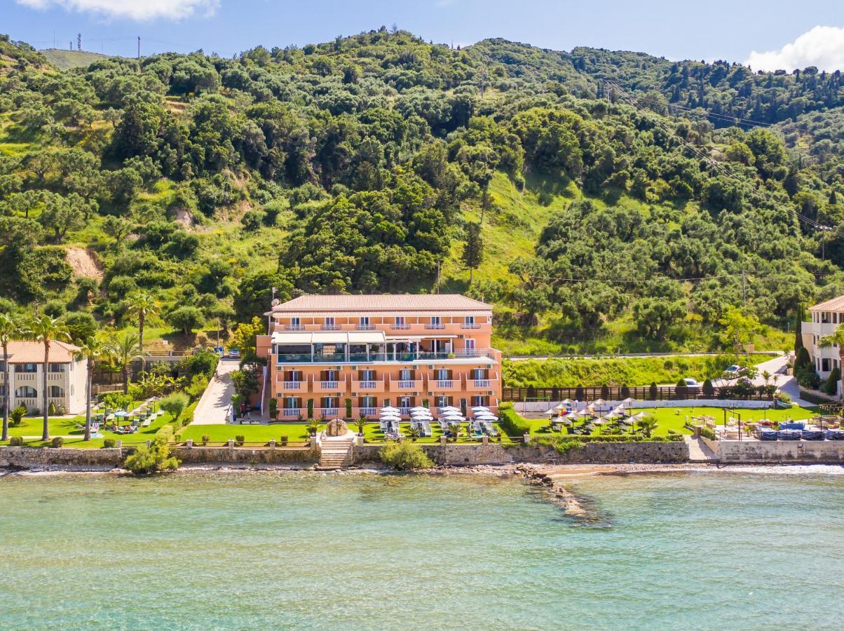 Anemona